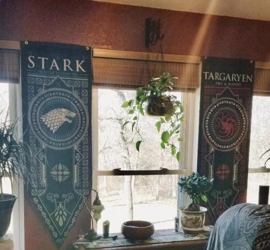 Game of Thrones House Banner 3pk - Stark, Targaryen, Lannister - 60