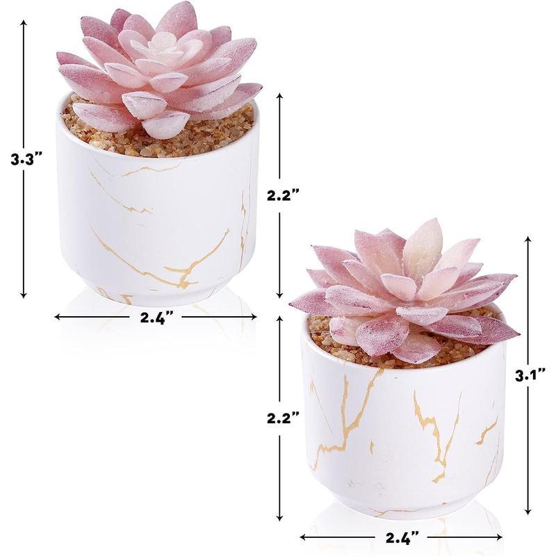 Artificial Plants and Succulents in 1 or 2 White Ceramic Pots,Small Fake Plants for Office and Desk Decor,Bathroom, Bedroom,Shelves for Women