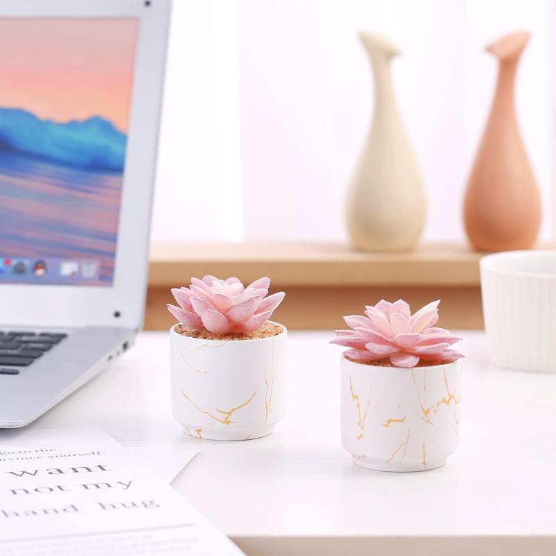 Artificial Plants and Succulents in 1 or 2 White Ceramic Pots,Small Fake Plants for Office and Desk Decor,Bathroom, Bedroom,Shelves for Women