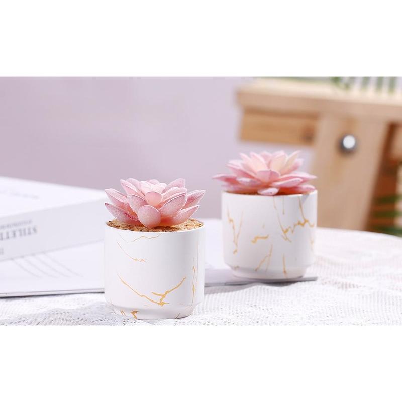 Artificial Plants and Succulents in 1 or 2 White Ceramic Pots,Small Fake Plants for Office and Desk Decor,Bathroom, Bedroom,Shelves for Women