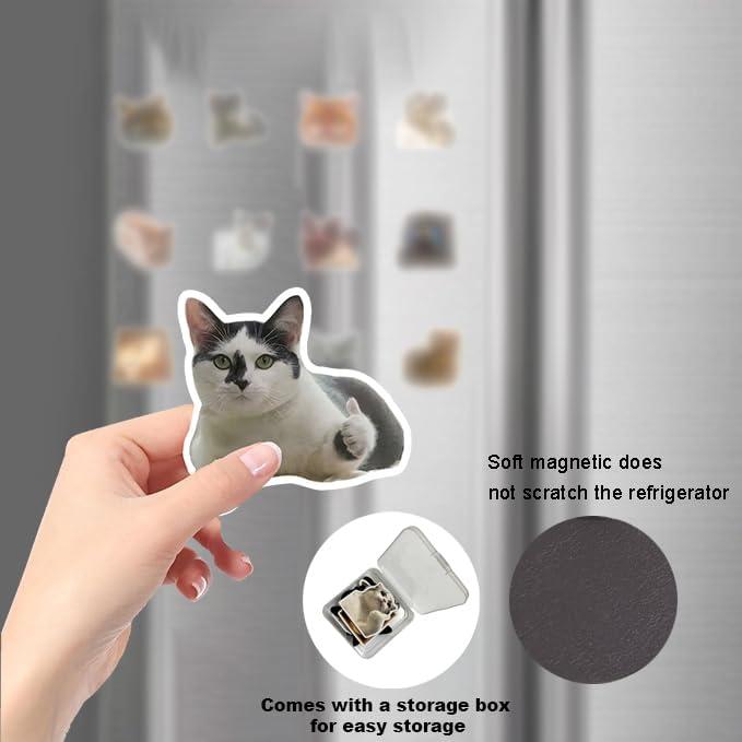 12 Pieces Funny Cat Emoji Fridge Magnets Cute Fridge Magnets Decorative Ethical Humor Housewarming Gifts For Home Office Cabinets School Lockers Whiteboards Dishwashers Thickened Strong Magnetic Acrylic Fridge Stickers