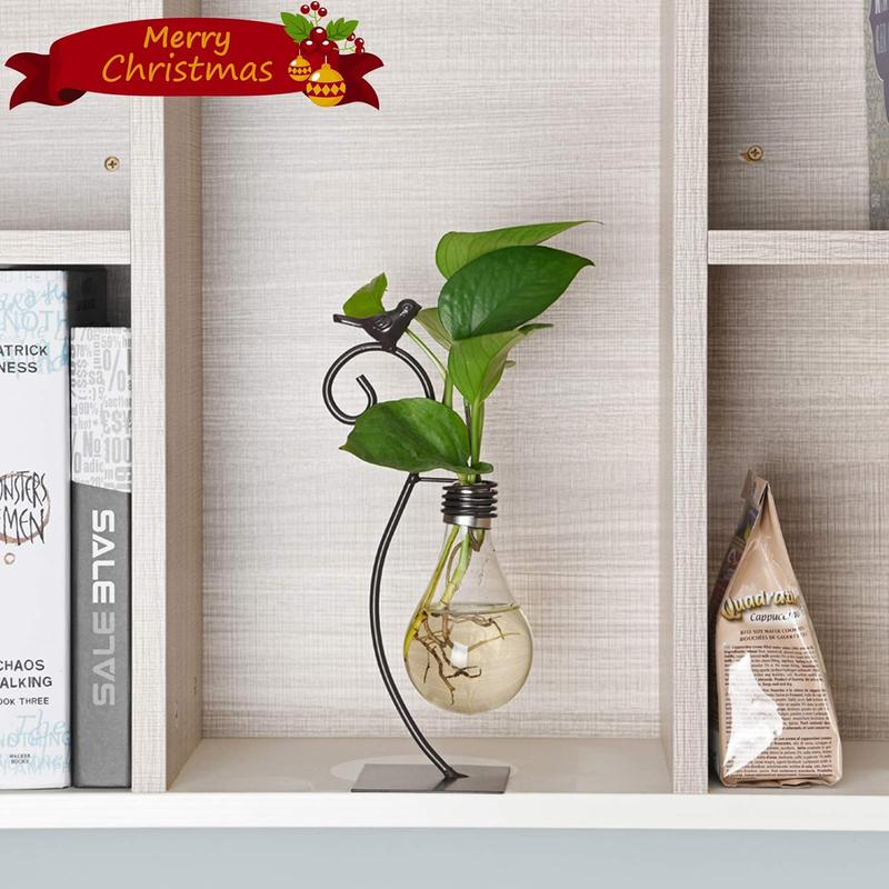 Desktop Glass Planter Hydroponics Vase,Planter Bulb Vase with Holder for Decoration,Modern Creative Bird Plant Terrarium Stand(Bulb Vase) Gift Iron