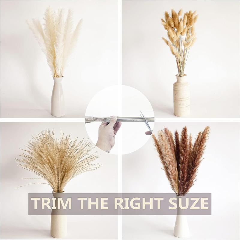 100 PCS Small Boho Pampas Grass 17