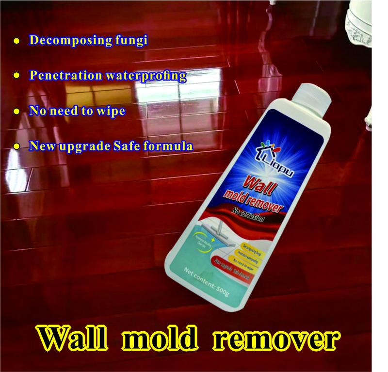 Highly Effective Mould Removal Spray - Prevents Mould Regrowth