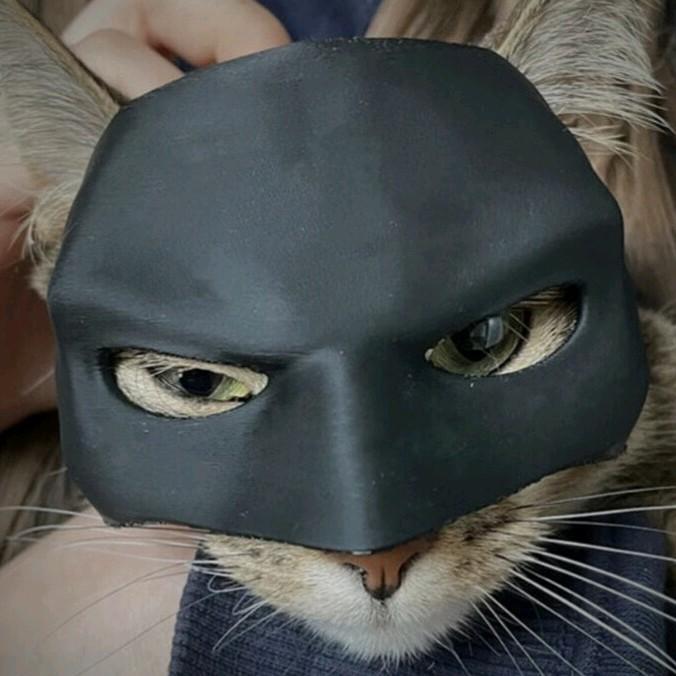 Batman 3d Printed Mask for Cat Kitty Decor