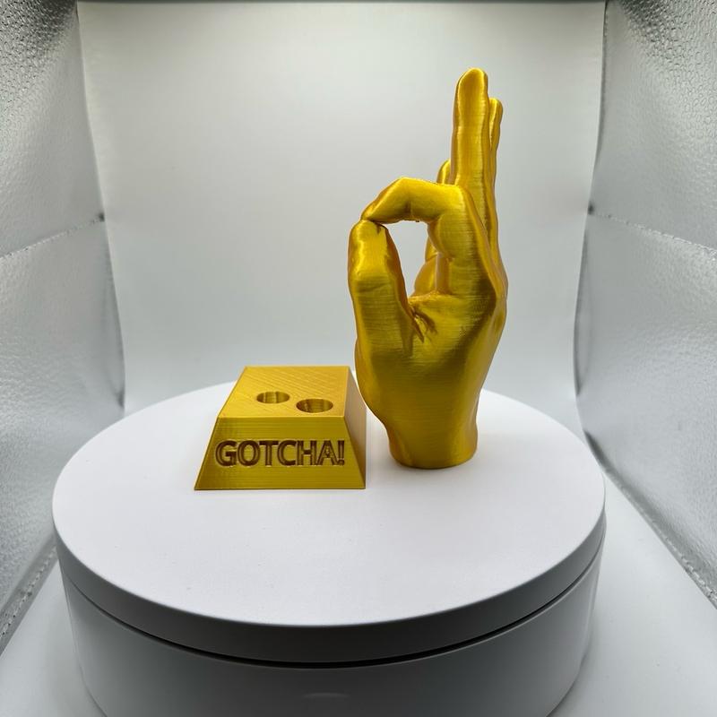 Gotcha Meme Figurine 3D Printed