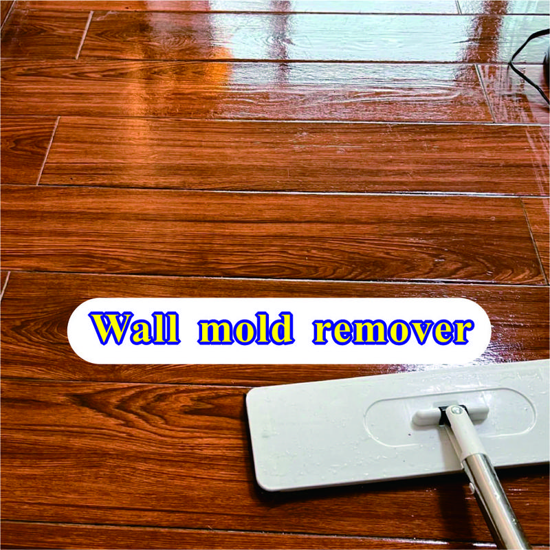 Highly Effective Mould Removal Spray - Prevents Mould Regrowth