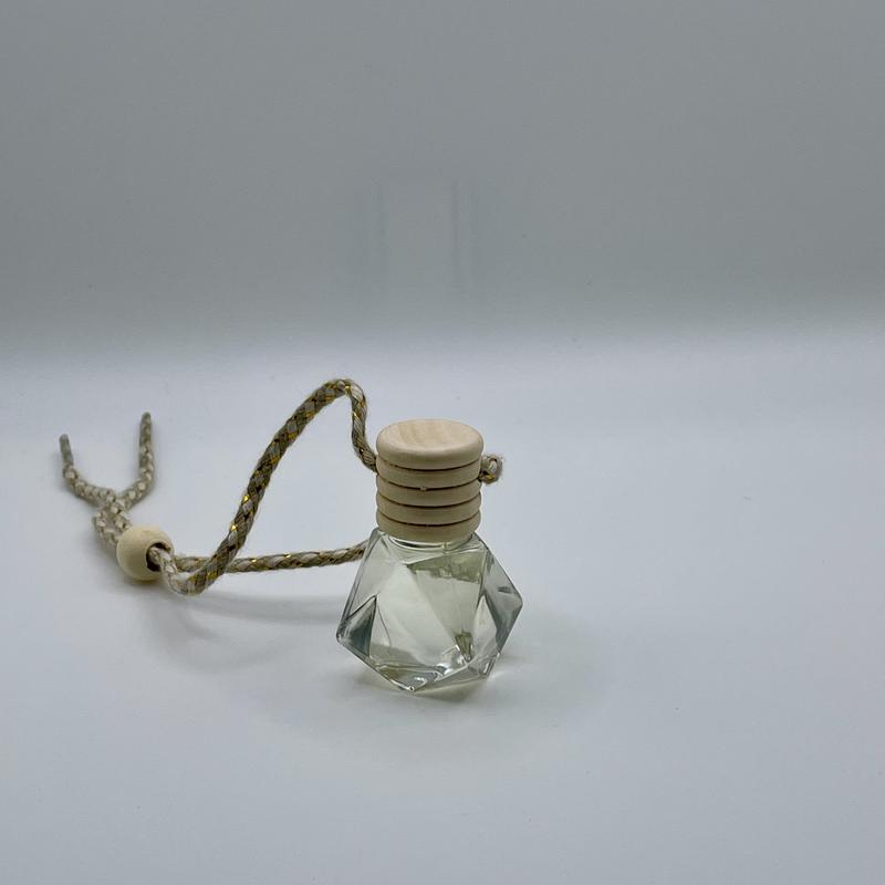 Introducing our Compact Small Space Hanging Fragrance Diffuser - Available in a Variety of Scents for Home Car Fragrances