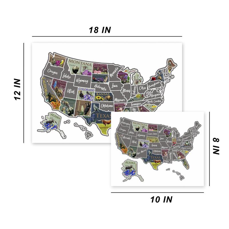 USA Scratch Off Map; State Symbols map; United States Poster; US Sales Tracking map; Places Traveled Map; Scratch off poster Decor