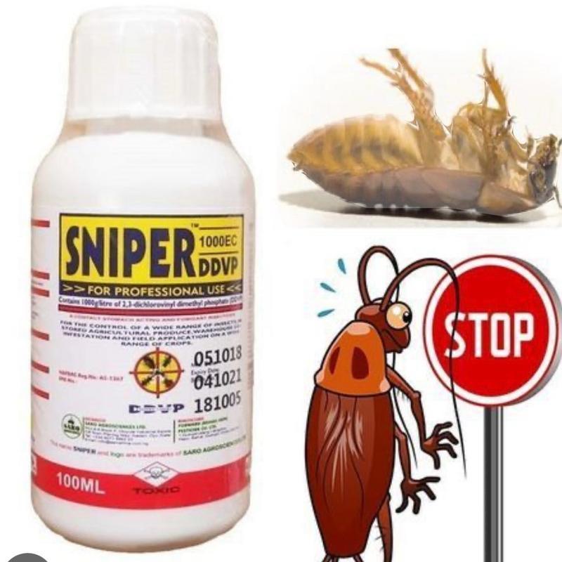 Insect Solutions for Bedbugs, Cockroachesand Ants -100% Money-back Guarantee