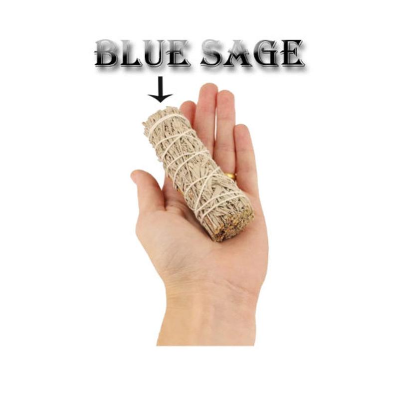 Variety Sage Smudge Sticks Set with Smudge Guide (6 PK)