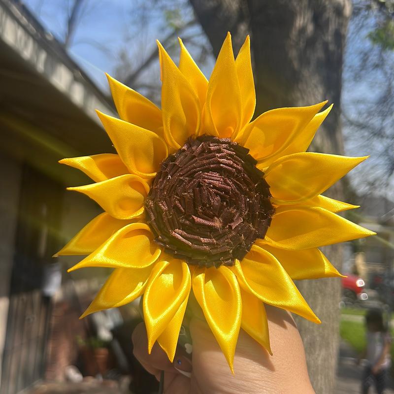 Single Sunflower