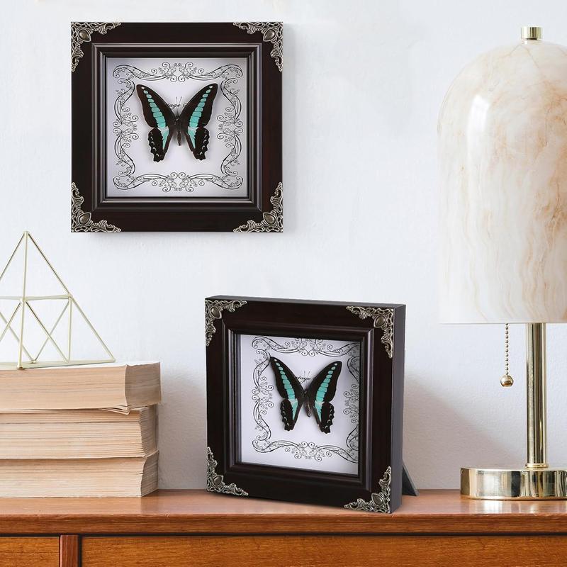 Real Butterfly Framed Handmade, Real Butterfly Specimen Shadow Box Collection, Framed Butterfly Taxidermy for Wall Art Decoration (G_Blue Swallowtail Butterfly)