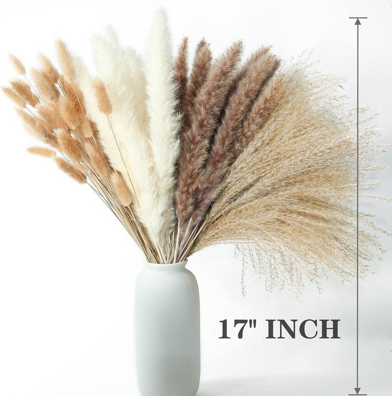 100 PCS Pampas Grass Contains Bunny Tails Dried Flowers, Reed Grass Bouquet for Wedding Boho Flowers Home Table Decor, Rustic Farmhouse Party (White and Brown) Decorative Fruit