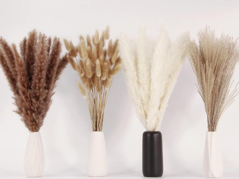 100 PCS Pampas Grass Contains Bunny Tails Dried Flowers, Reed Grass Bouquet for Wedding Boho Flowers Home Table Decor, Rustic Farmhouse Party (White and Brown) Decorative Fruit