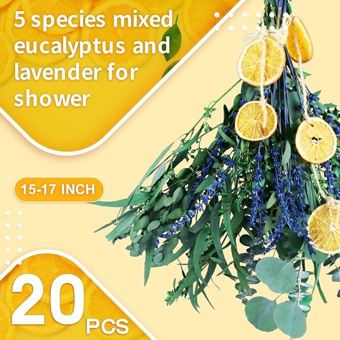 5 Kinds Mix Dried Eucalyptus & Lavender Flowers Bundle for Shower, Natural Real Fresh Preserved Eucalyptus Leaves and Lemon Hanging Plants, Home Decor