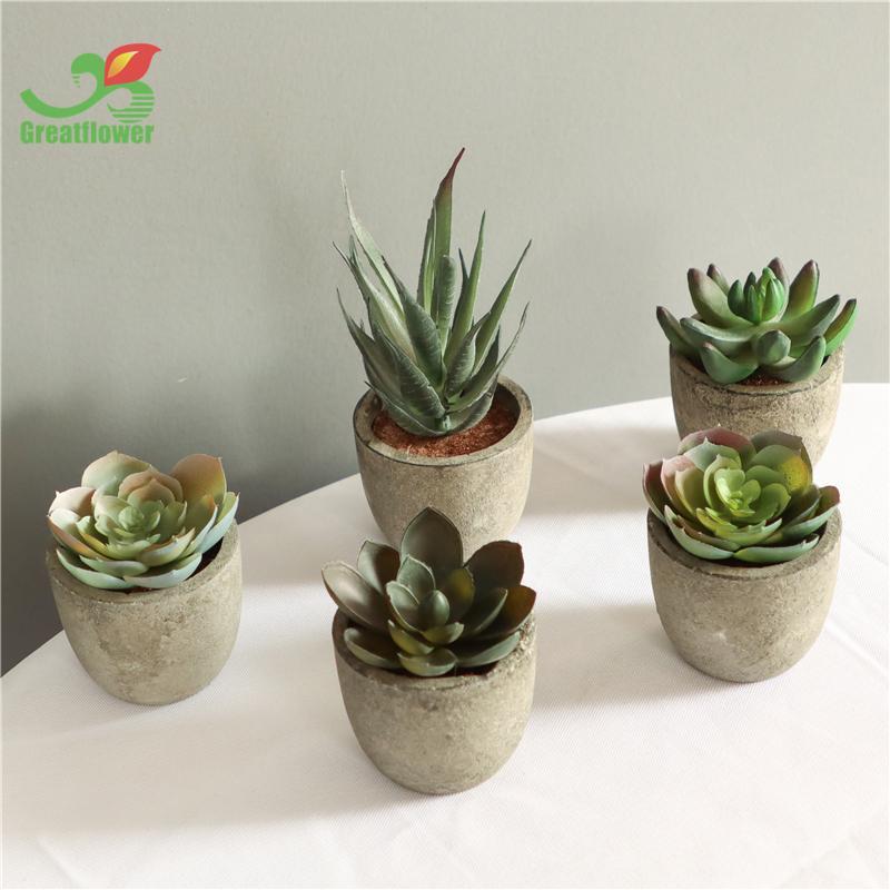 5pcs Artificial Potted Succulent, Round Home Decorative Fake Succulent Pot For Balcony Windowsill Garden