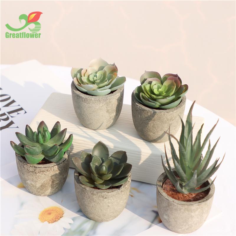 5pcs Artificial Potted Succulent, Round Home Decorative Fake Succulent Pot For Balcony Windowsill Garden