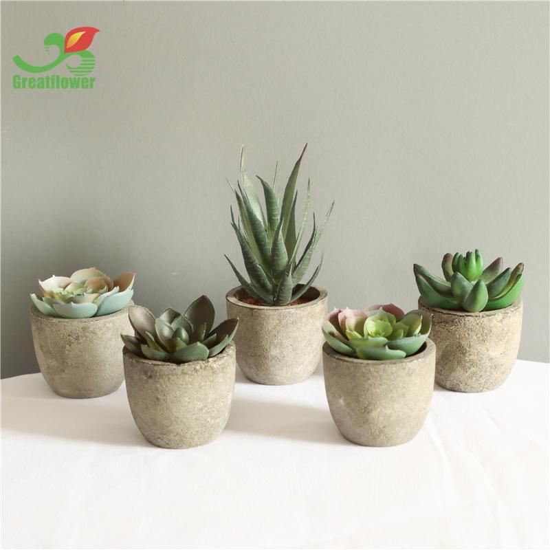 5pcs Artificial Potted Succulent, Round Home Decorative Fake Succulent Pot For Balcony Windowsill Garden