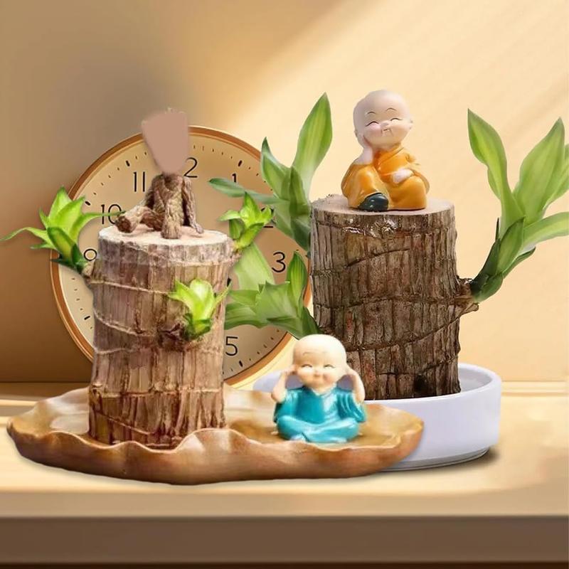 New Brazilian Wood Decor with Tray, Mini Brazilian Wood Money pots hydroponic Potted, Low Light Brazilian Lucky Wood Purify Indoor Air for Home Office Desktop Decoration