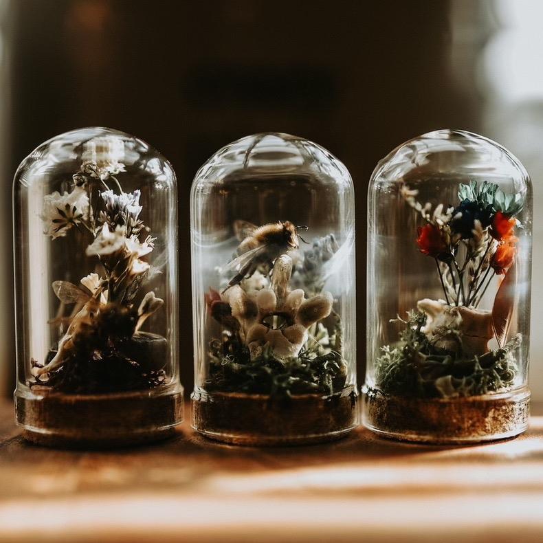 Handmade Miniature 1in. Terrariums