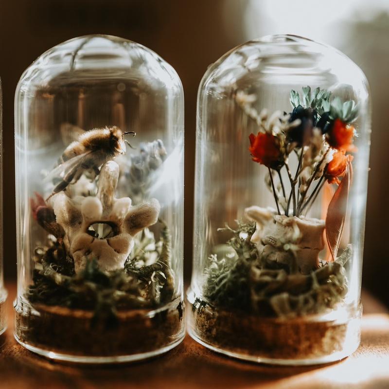 Handmade Miniature 1in. Terrariums