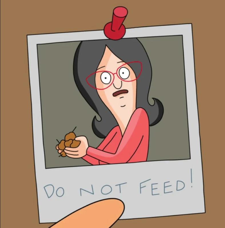 Bob's Burgers Fridge Magnets, Bob's Burgers Linda Belcher Do Not Feed Refrigerator Magnet, Car Magnet